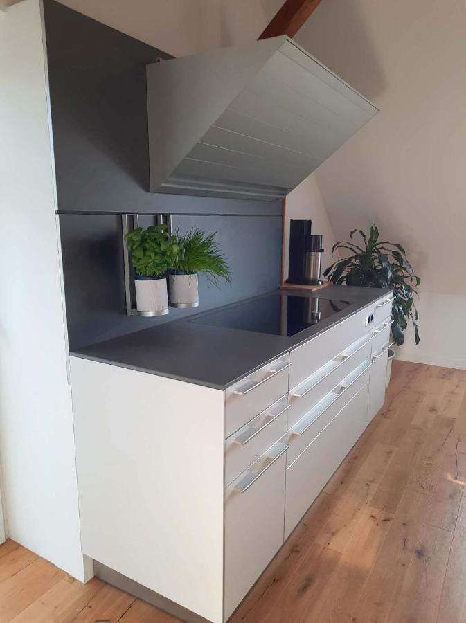 Luxurioeses Loft Mit Schoenem Blick Тремсбюттель Экстерьер фото